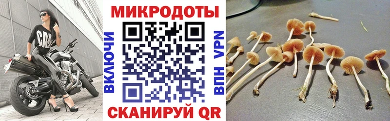Псилоцибиновые грибы MAGIC MUSHROOMS  Динская 